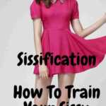 How to train your sissy husband