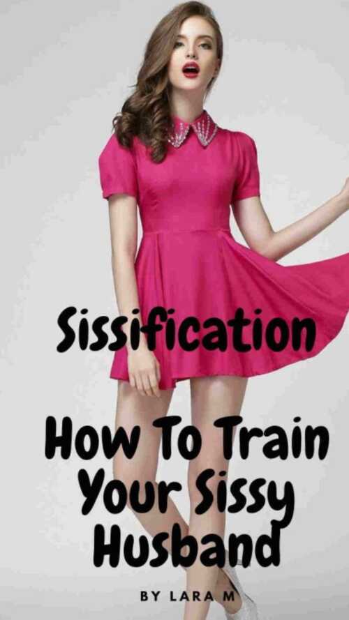 howtotrainyoursissyhusband