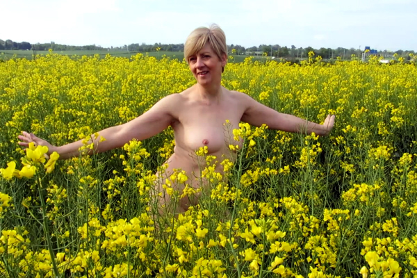 Modesty Ablaze Yellow Fields 3