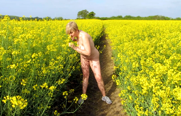 Modesty Ablaze Yellow Fields 2