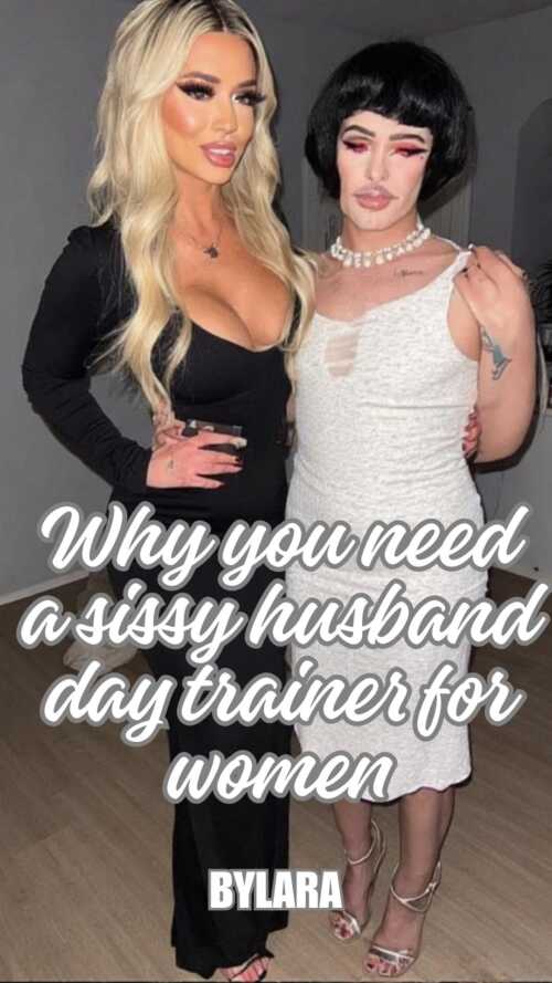 whyyouneedasissydaytrainer