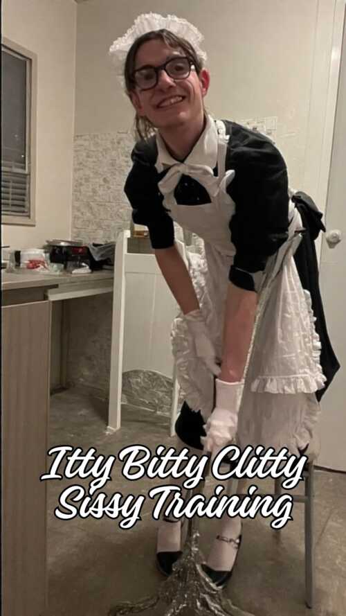 ittybittyclittysissytraining