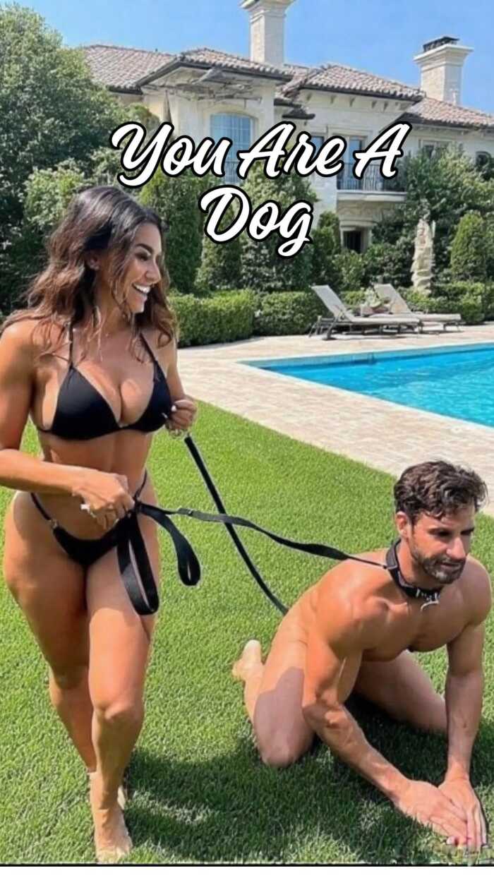 You are a dog