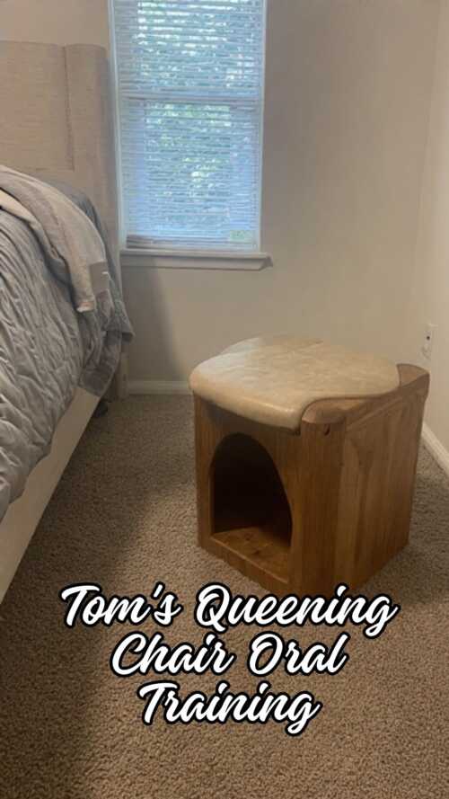 Toms Queening Chair Oral Training