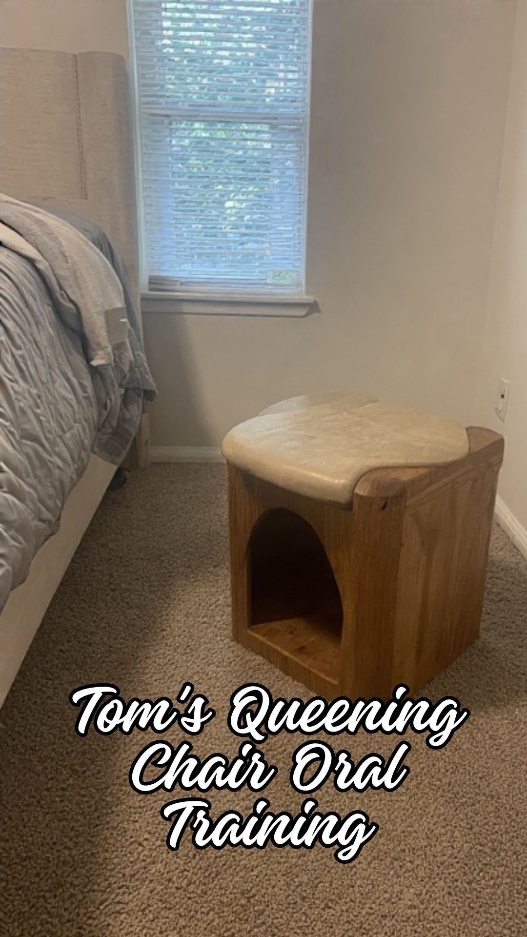 Tom's Queening Chair Oral Training 1 Tom's Queening Chair Oral Training