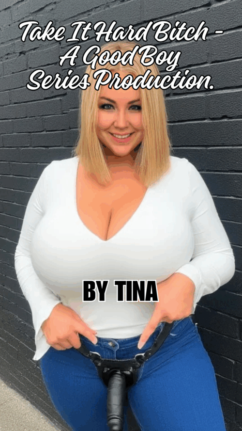 Take It Hard Bitch A Good Boy Series Production