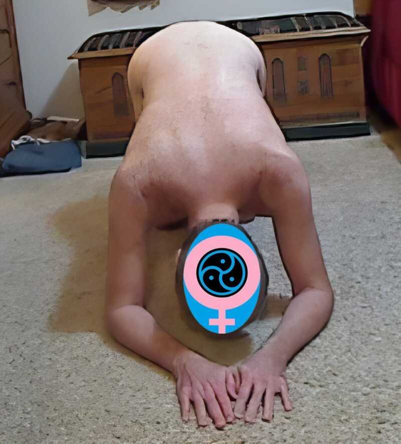 <a href="https://www.femdomtraining.ca/members/sub4hypdomme/">Subby Urslave</a> 2 hairyhumble-enhanced-emblem