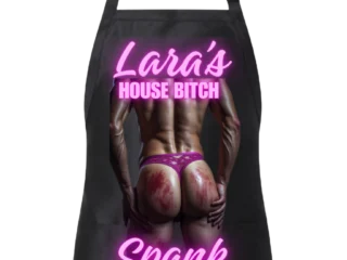 larashousebitchapron3
